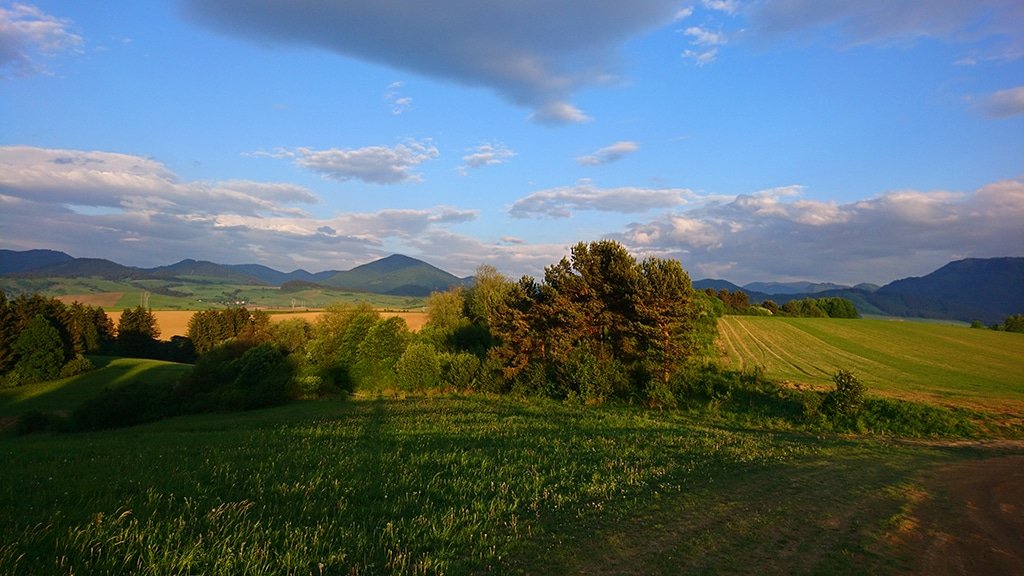 Žihľava