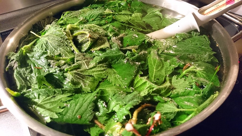 Žihľava lúhovanie