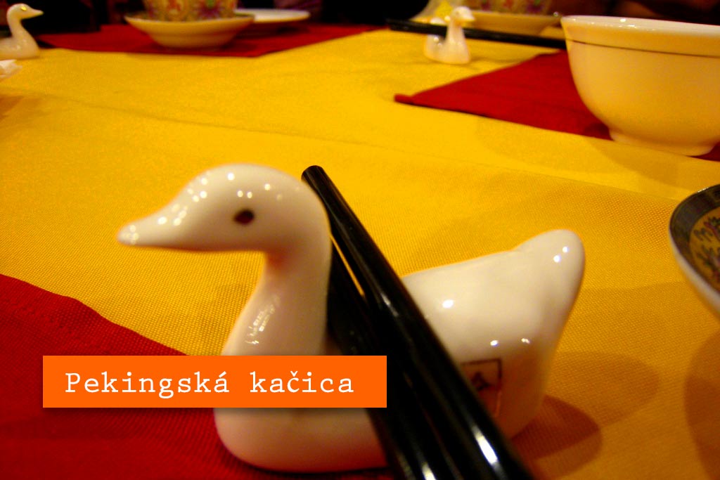 Pekingská kačica