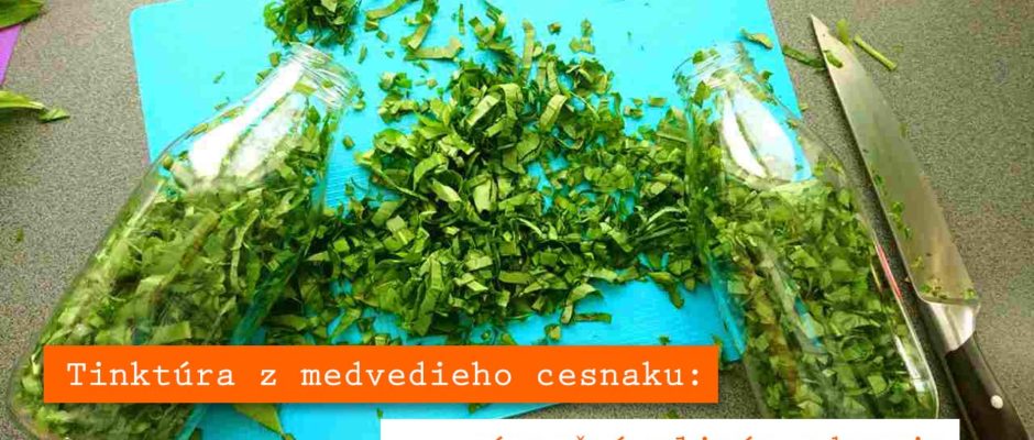 MEDVEDÍ CESNAK – tinktúra