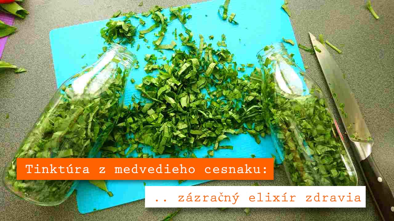 MEDVEDÍ CESNAK – tinktúra