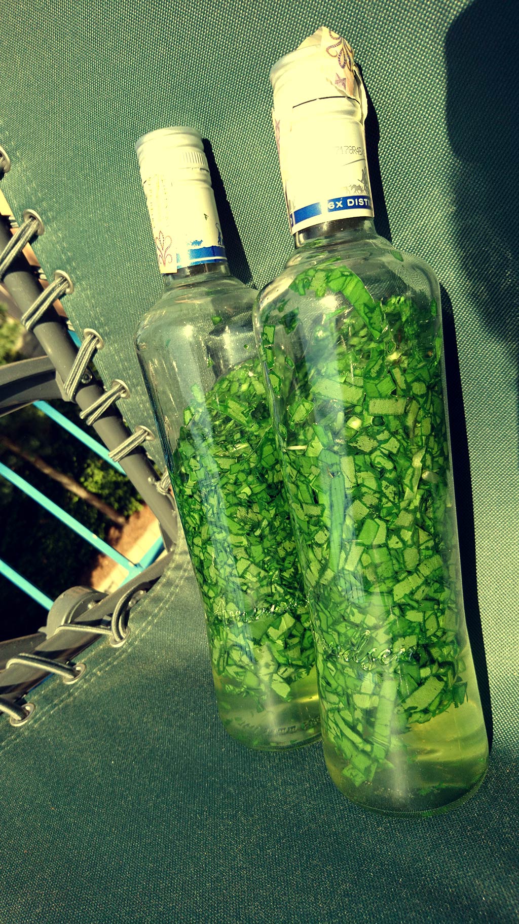 Tinktúra z medvedieho cesnaku fotorecept