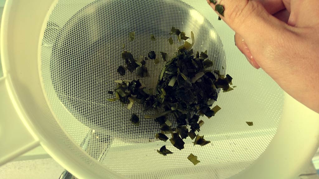 Tinktúra z medvedieho cesnaku fotorecept