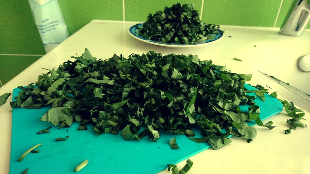 Medvedí cesnak tinktúra