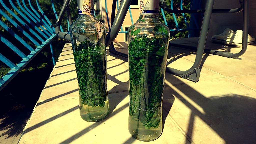 Tinktúra z medvedieho cesnaku fotorecept