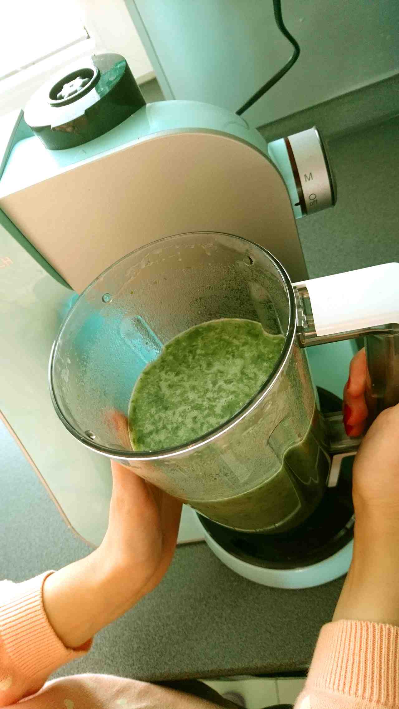 Zmixovaný medvedí cesnak