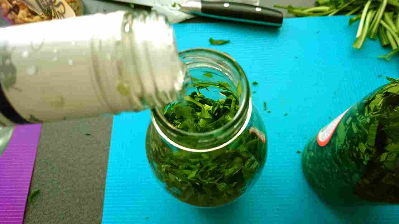 MEDVEDÍ CESNAK – tinktúra