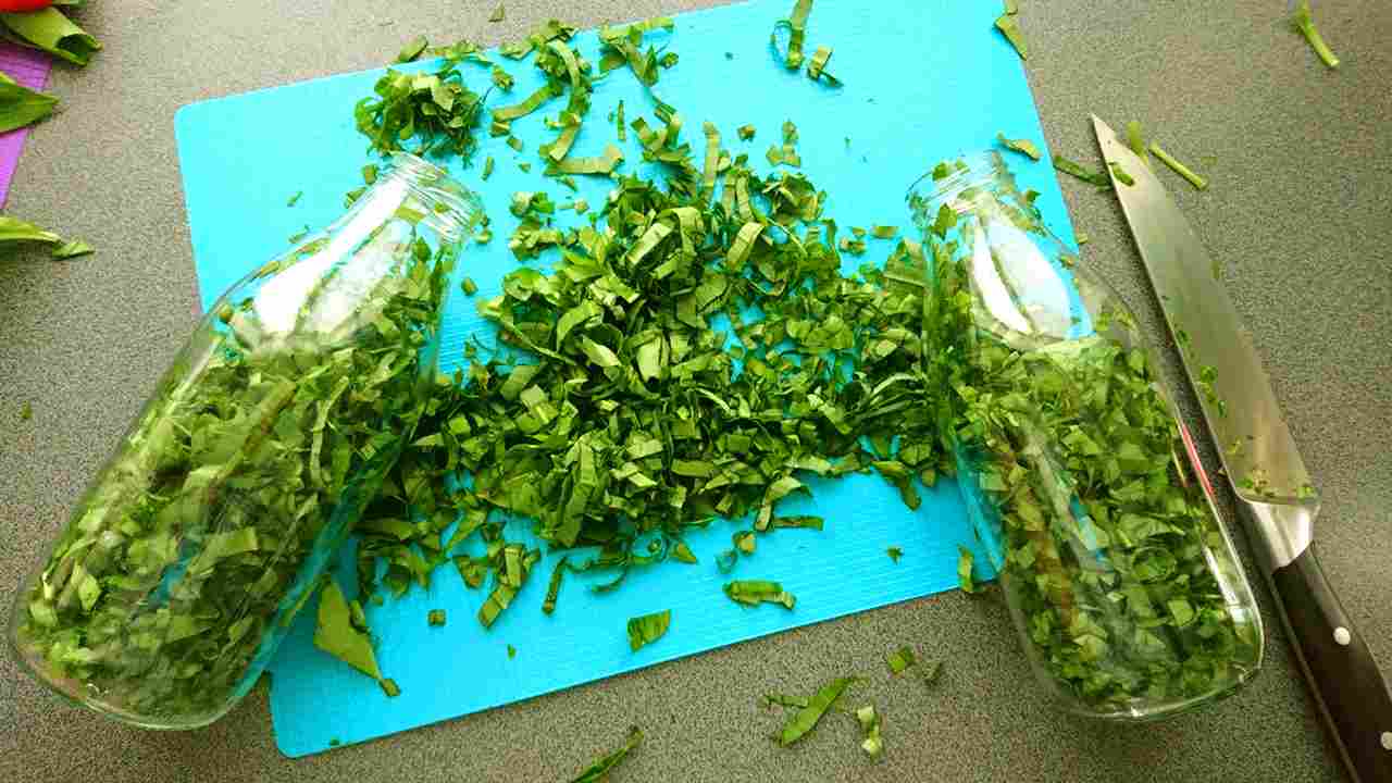 tinktúra z medvedieho cesnaku