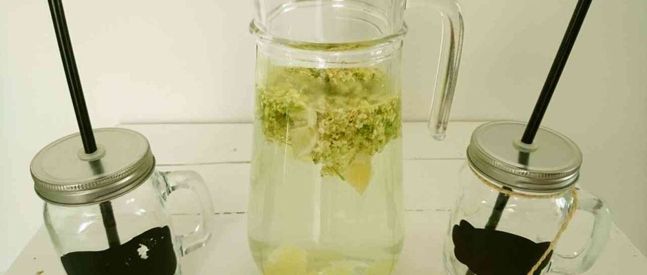 Bazová limonáda
