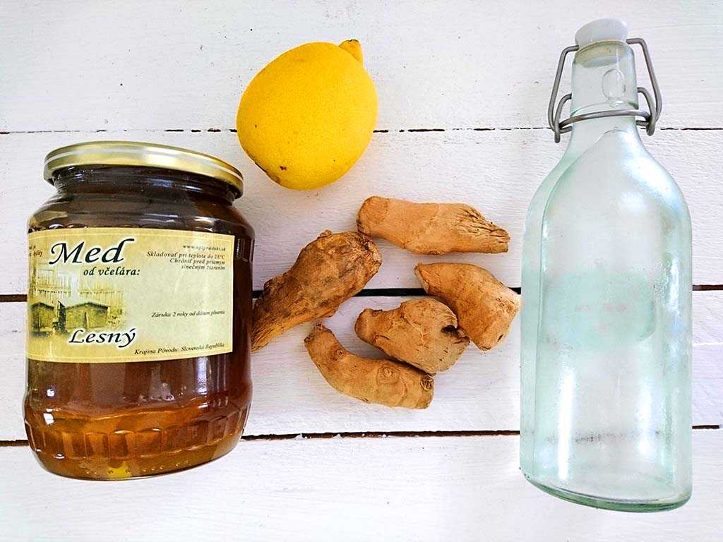 Zázvorovica príprava