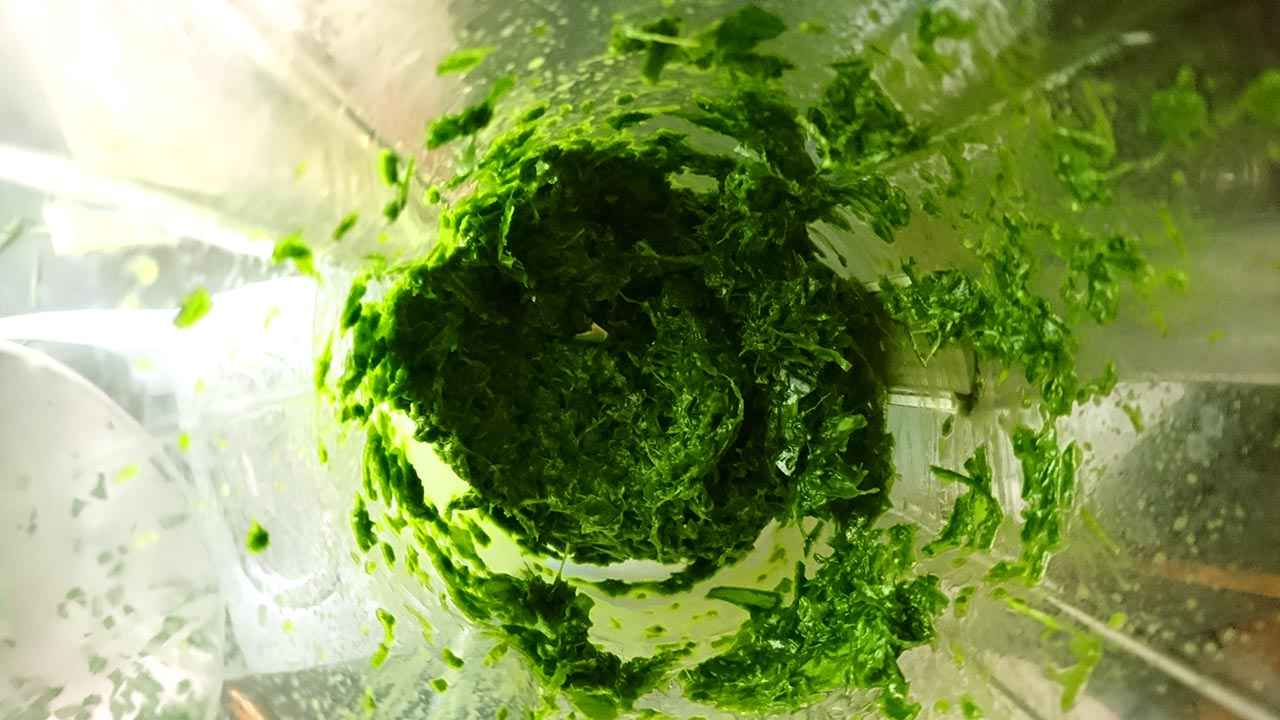 Medvedi cesnak v mixery