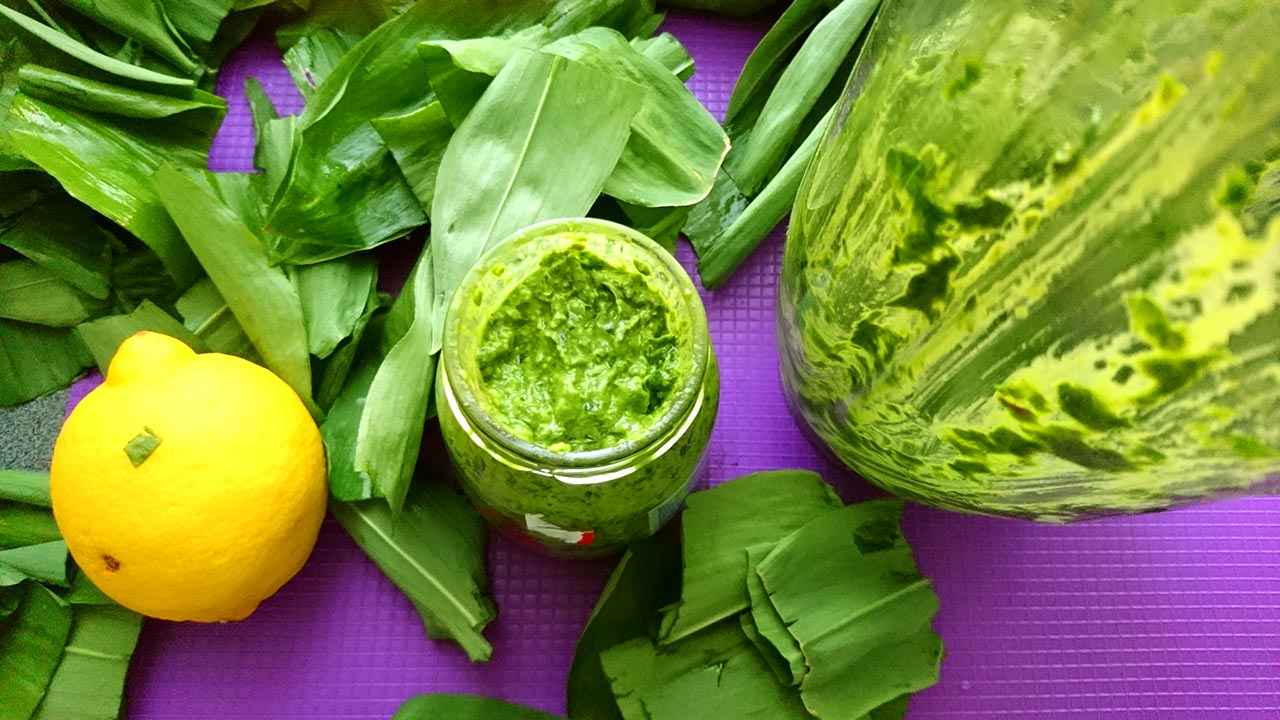 Medvedi cesnak pesto