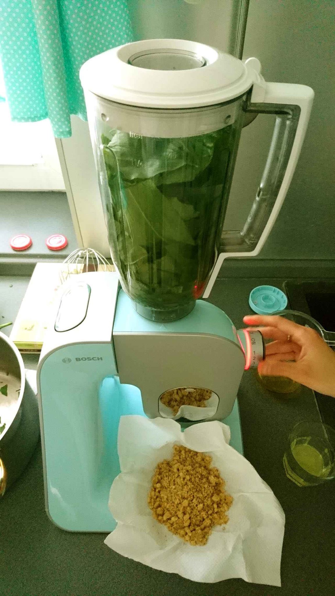 Medvedi cesnak v mixery