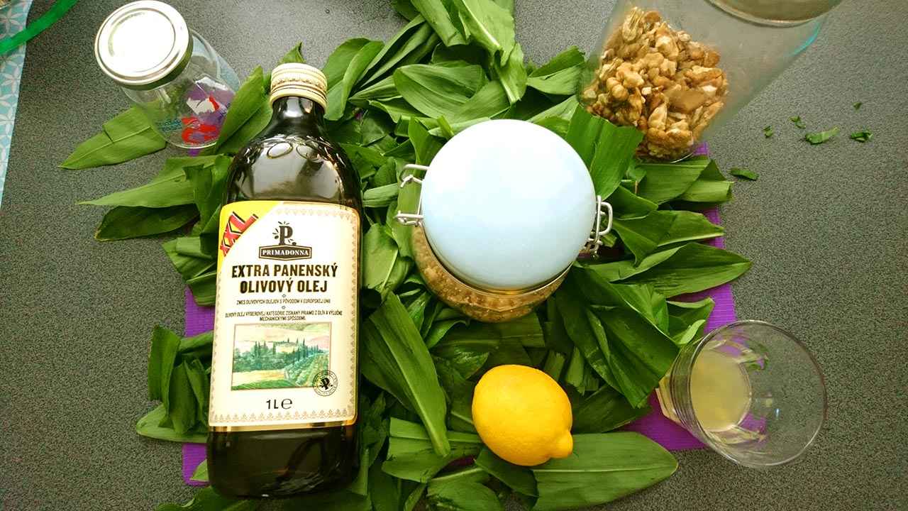 Medvedi cesnak, citron, olivový olej