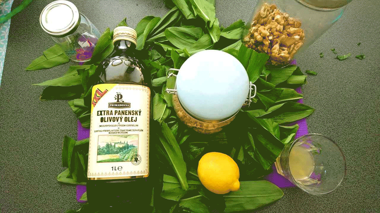 Príprava pesta z medvedieho cesnaku