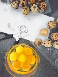 Nožnice na prepeličie vajcia