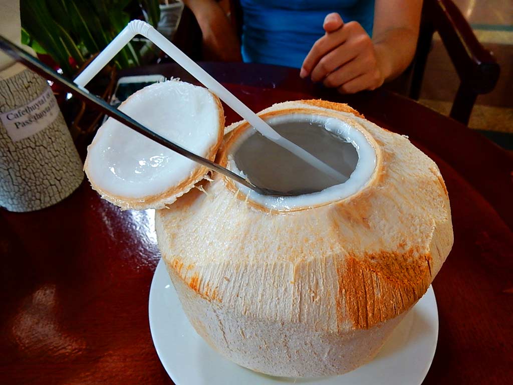 Kokosové mlieko
