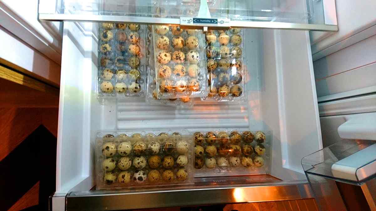 Prepeličie vajcia v chladničke